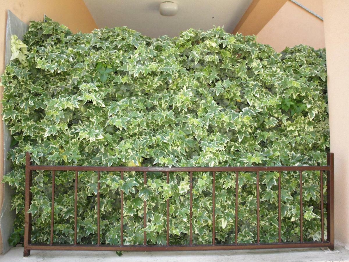 Apartman Celestina Medulin Dış mekan fotoğraf