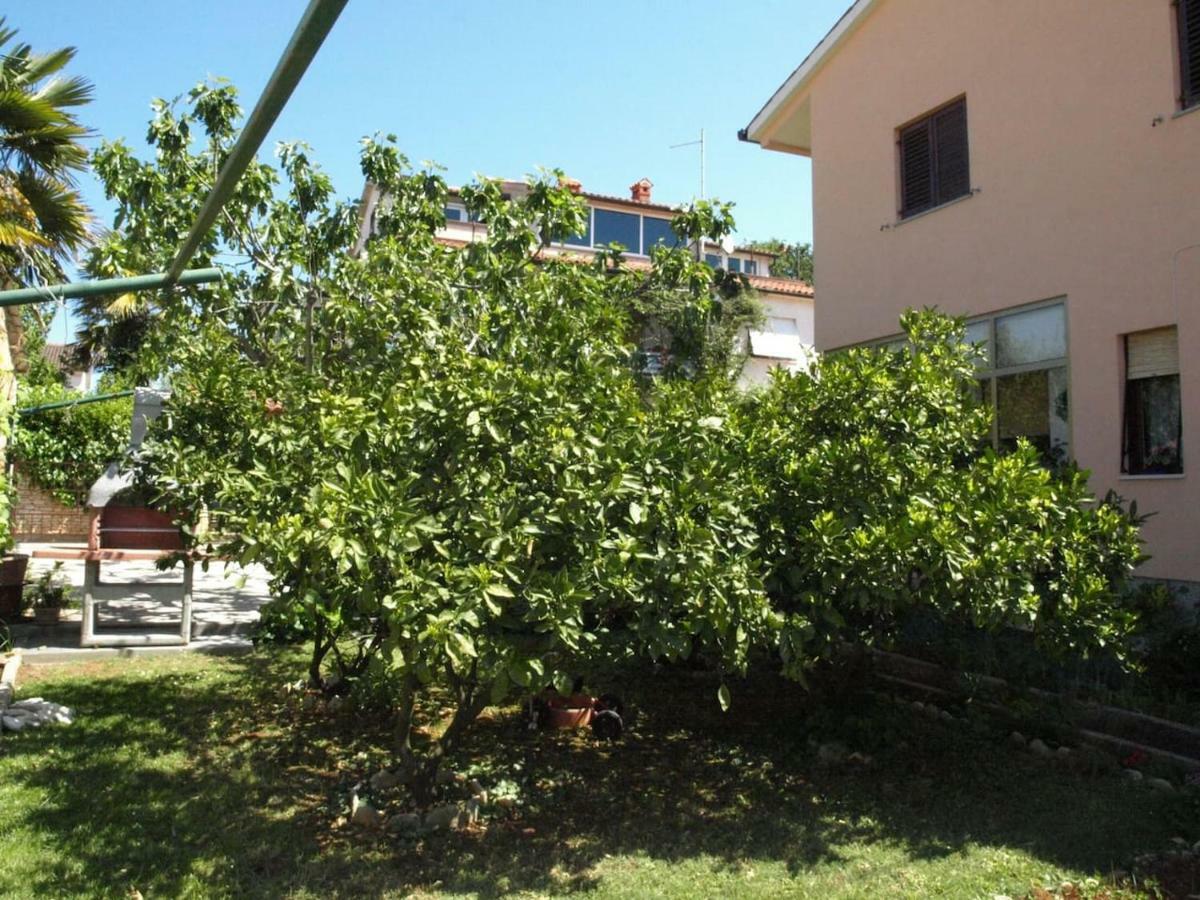 Apartman Celestina Medulin Dış mekan fotoğraf